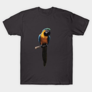 Parrot T-Shirt